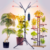 Frgrow grow light