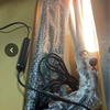 Frgrow grow light