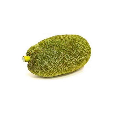 Anand Green Jackfruit Pods, 11 Oz